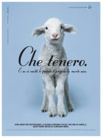 Salva una pianta, mangia un vegetariano...