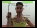 CIANFRUSOCLIP - La nuova vita delle cose