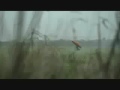 Tiro al piattello con un carro armato