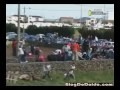 Quando il toro si diverte